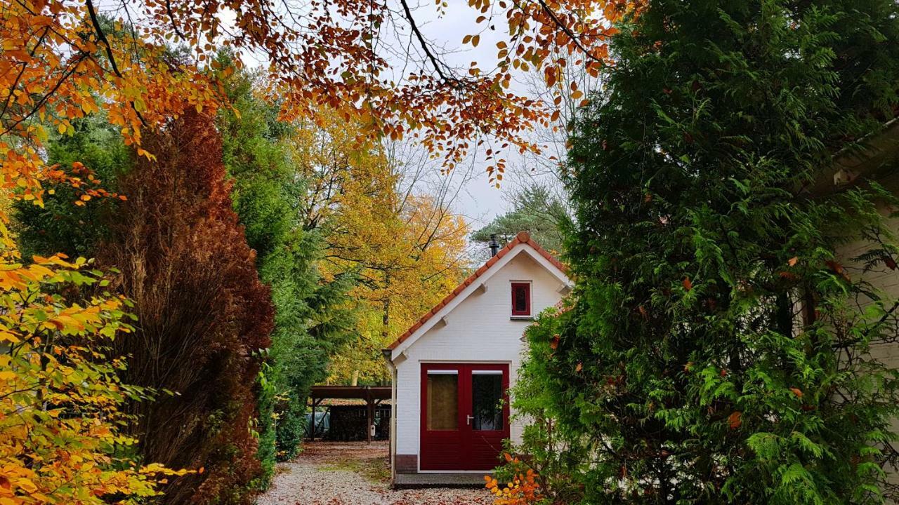 Dennenhuis Vaassen ภายนอก รูปภาพ