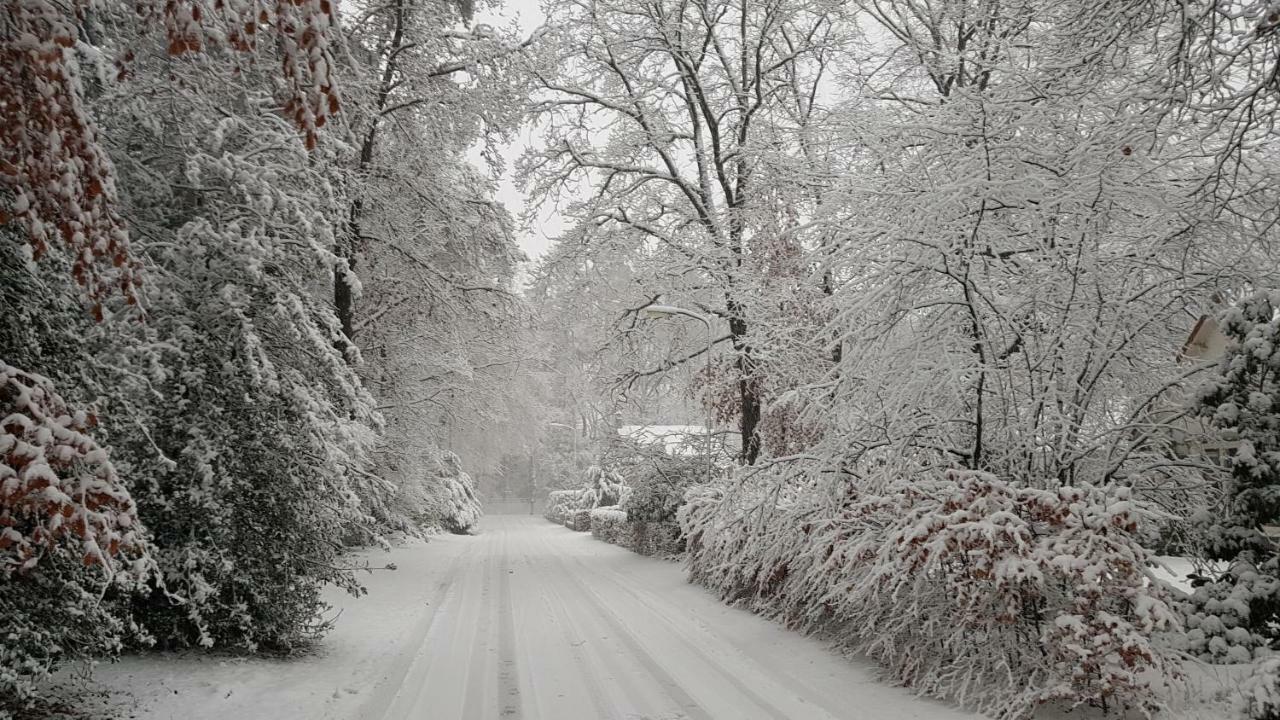 Dennenhuis Vaassen ภายนอก รูปภาพ